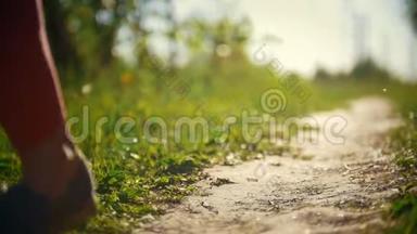 在阳光明媚的夏日里，一群骑着自行车的女孩在公园的小路上踩着绿色